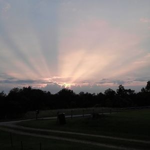 Meet your Posher, Mary lou